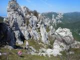 19. ponovo pogled na kukove